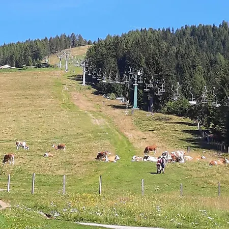 Almhaus Florian דירה טרפן