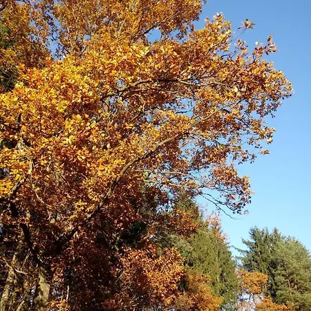 Apartament Almhaus Florian *