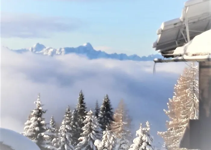 Almhaus Florian 公寓