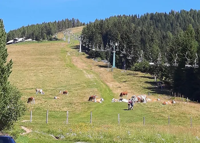 Almhaus Florian Appartamento Treffen