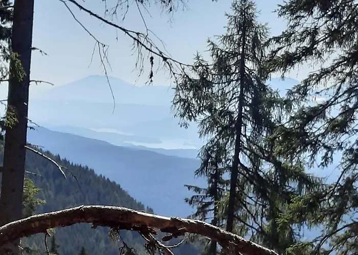 Apartament Almhaus Florian