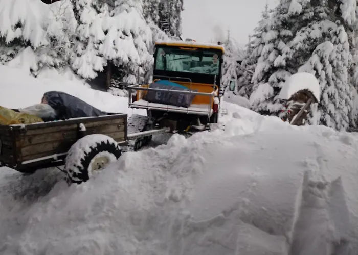 Almhaus Florian * Treffen