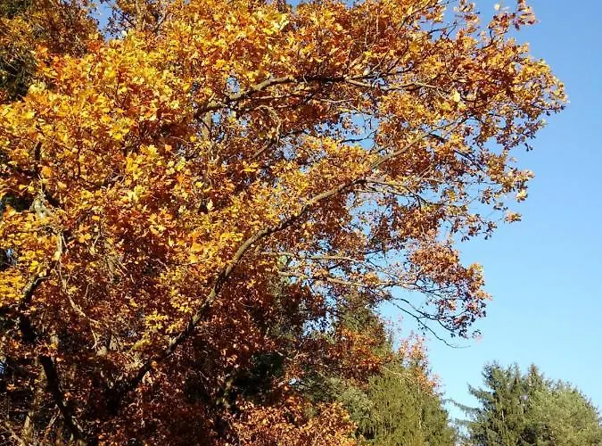 Appartamento Almhaus Florian *